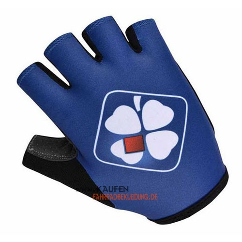 Handschuhe 2014 Blau