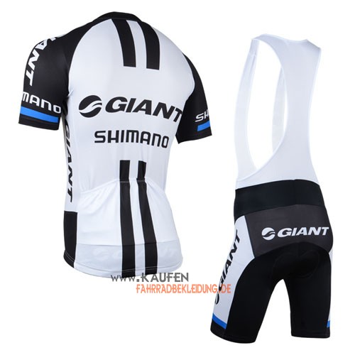 Giant Alpecin Kurzarmtrikot 2014 Und Kurze Trägerhose Weiß Und S