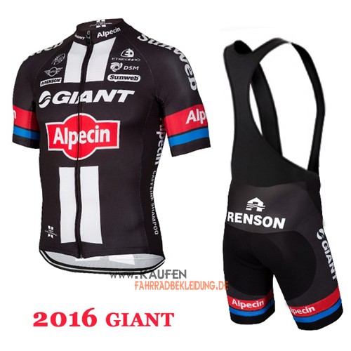 Giant Alpecin Kurzarmtrikot 2016 Und Kurze Trägerhose Shwarz Und