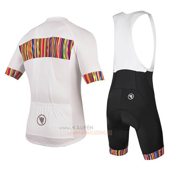 Endura Graphics Pinstripe Kurzarmtrikot 2018 und Kurze Tragerhose Wei
