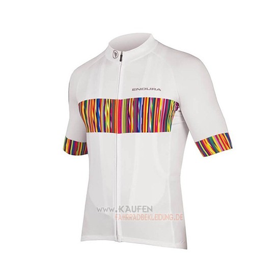 Endura Graphics Pinstripe Kurzarmtrikot 2018 und Kurze Tragerhose Wei