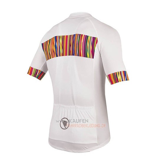 Endura Graphics Pinstripe Kurzarmtrikot 2018 und Kurze Tragerhose Wei