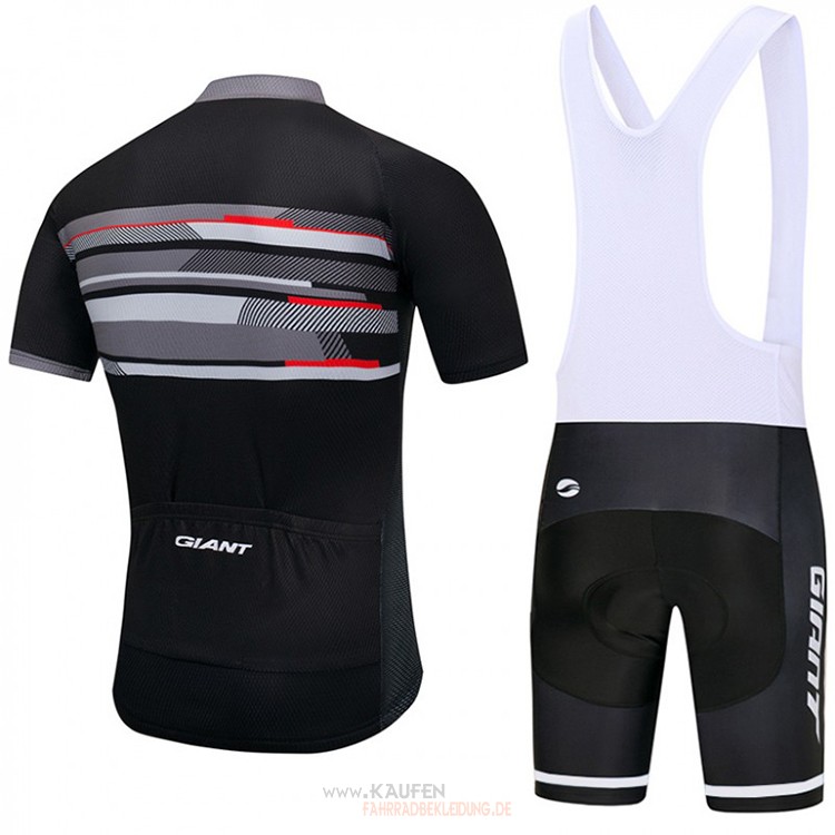 Giant Kurzarmtrikot 2018 Und  Kurze Tragerhose Shwarz Und grau