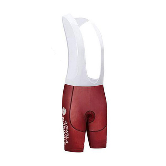 Ag2r La Mondiale Kurzarmtrikot 2018 und Kurze Tragerhose Braun Und wei